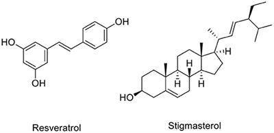Mechanisms and Neuroprotective Activities of Stigmasterol Against Oxidative Stress-Induced Neuronal Cell Death via Sirtuin Family